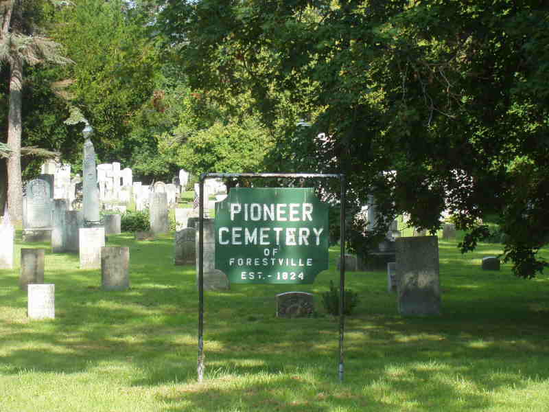 Pioneer Cemetery NY